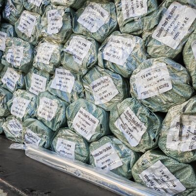 1 3/4" 44.5mm ステンレス鋼丸管 0.4-3.0mm 壁厚さ 600 グリット サテン仕上げ 304 不同管 201/316L オプション